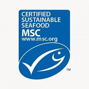 Hur man säkerställer att din fisk och skaldjur är hållbar, enligt Marine Stewardship Council