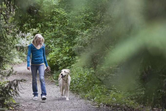 Jente går hund på skogssti