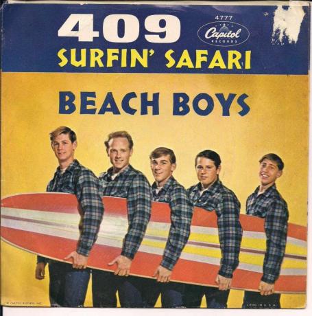 Сафари-серфинг для мальчиков на пляже
