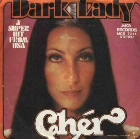 Cher Dark Lady