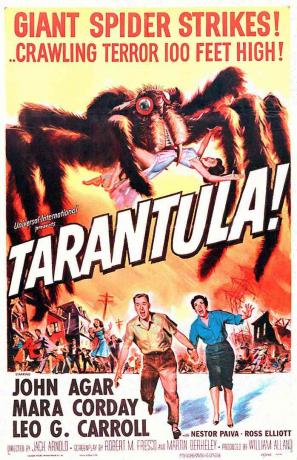 En plakat for Jack Arnolds science fiction-film 'Tarantula' fra 1955
