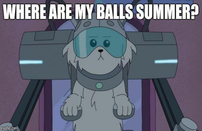 donde estan mis bolas Rick y Morty meme