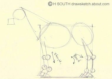 menggambar struktur kuda, menambahkan leher, kaki