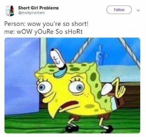 SpongeBob meme om korte mennesker