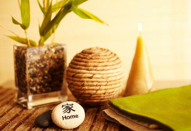 Şanslı Feng Shui bitkileri ve " ev" yazan bir taş
