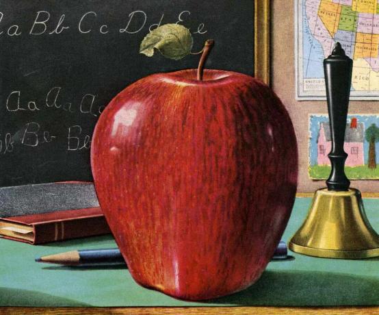 Öğretmen Masasında Elma