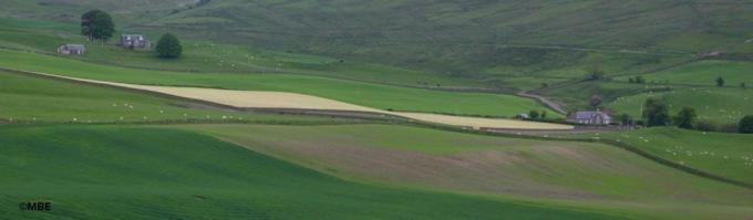 Krajobraz Szkocji z domami siedzącymi na dużych polach.