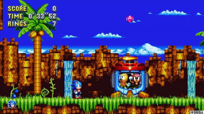Rejs un Mighty ir iestrēguši slazdā, kamēr Sonic to skatās.