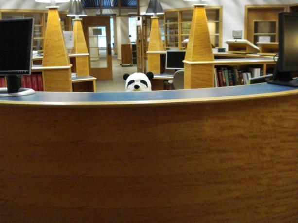 Slika knjižničnega miza. Nad mizo pokuka glava pande.