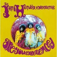 Jimi Hendrix Experiences " Er du erfaren?" album