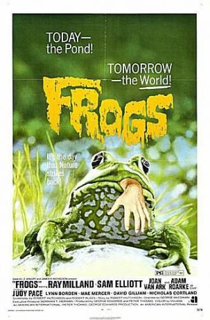 Постер на филма жаби