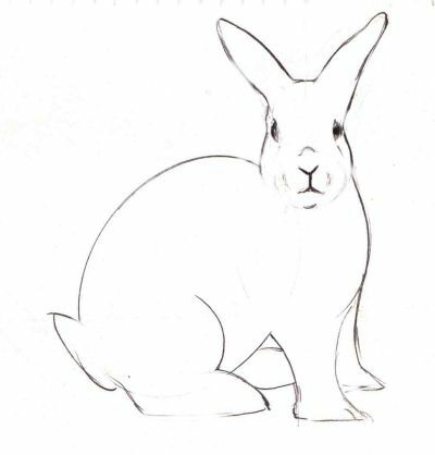 малювання мордочки кролика