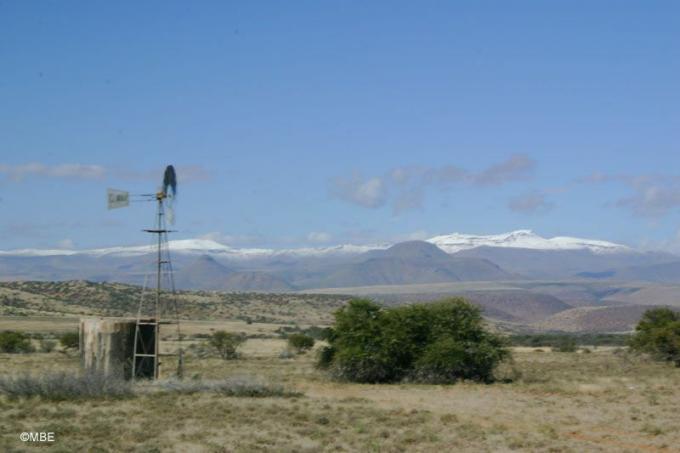 Windmühle und Strauch auf einer Ebene mit Bergen in der Ferne.