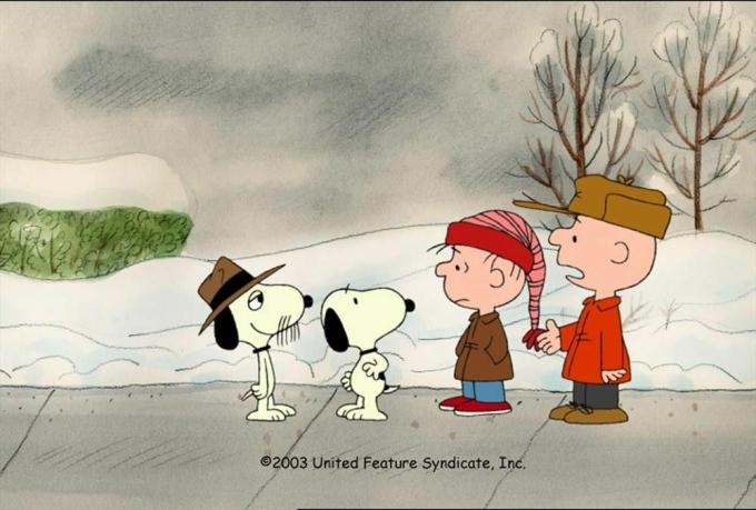 Jeg vil ha en hund til jul, Charlie Brown! / ABC