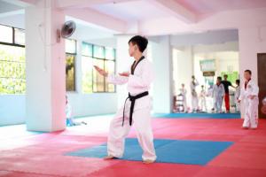 Forskjeller mellom Taekwondo vs. Karate