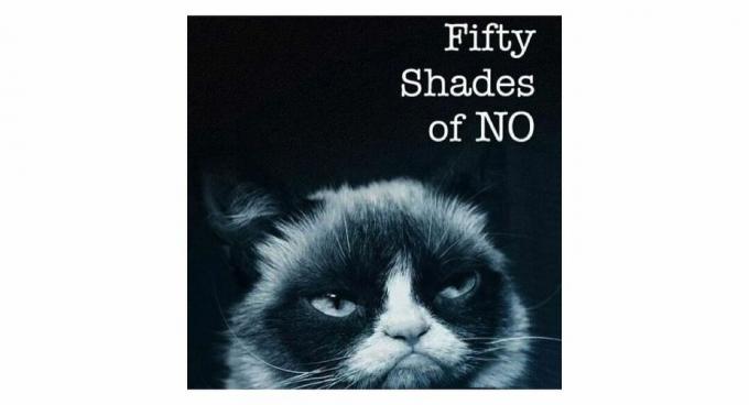 חתול זועם עם הכיתוב: Fifty Shades of NO