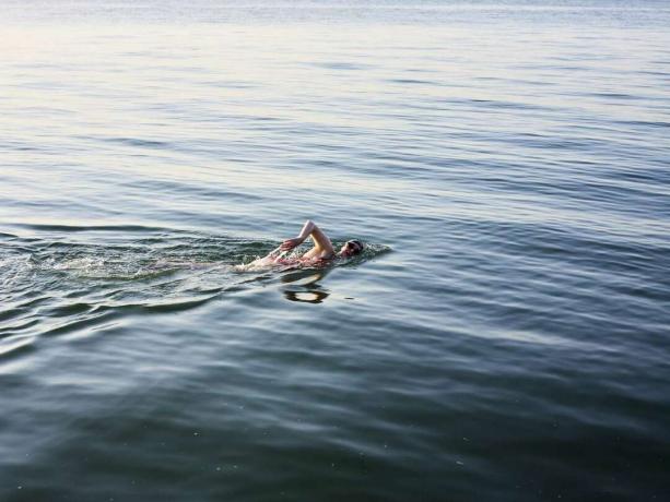 אדם שוחה על פני גוף מים גדול