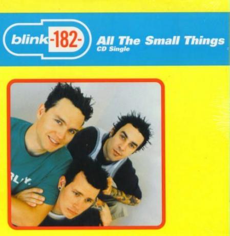 Blink-182 - " Visas mazās lietas"