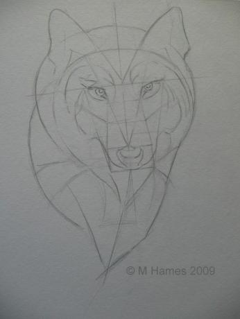 Het ontwikkelen van de geometrie van het gezicht van de wolf. Klik op de foto om de afbeelding op ware grootte te zien