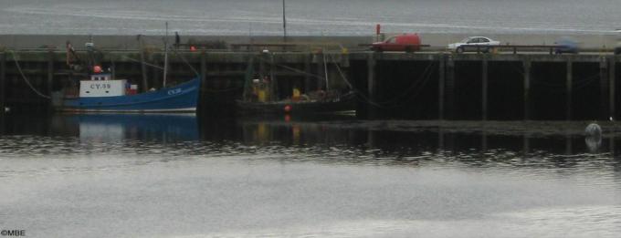 Lange pier met auto's die rijden en boa's op het water tijdens een grijze dag.