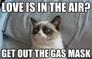 18 mejores memes de gatos gruñones