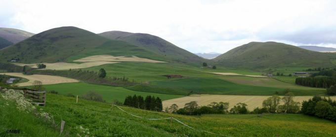 Skotijas lauku ainavas fotoattēls ar laukiem, pakalniem un nožogojumiem.