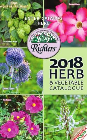 Der Katalog „Her und Gemüse“ 2018 von Richters