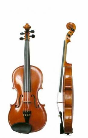 violín
