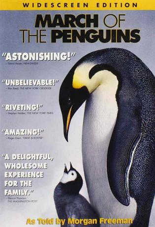 DVD марш на пингвините