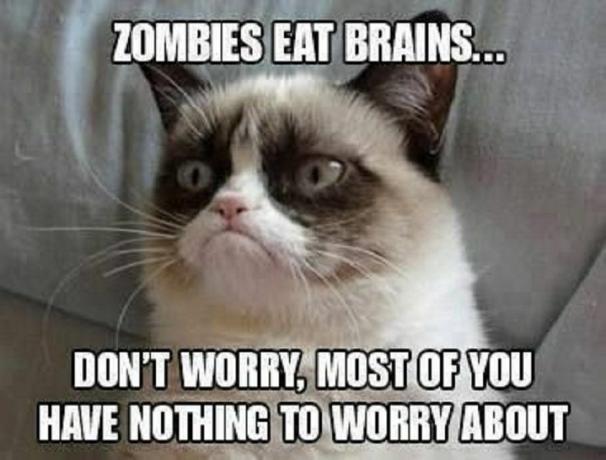 Grumpy Cat forsikrer folk om at zombier spiser hjerner