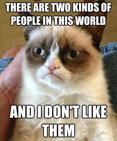 Grumpy Cat nie lubi ludzi