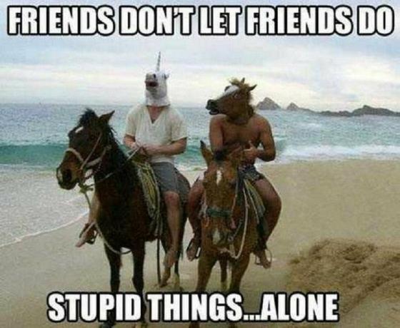 Dois homens cavalgando, um usando uma máscara de cavalo e o outro usando uma máscara de unicórnio com o texto: Amigos não deixam amigos fazerem coisas estúpidas... sozinho