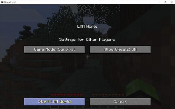Snimak ekrana omogućavanja varalica u Minecraft-u.