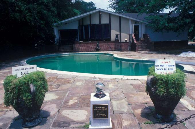 Böbrek şeklindeki yüzme havuzu ve Pool House'da saksı bitkisi uyarısı " Lütfen havuza bozuk para atmayın"