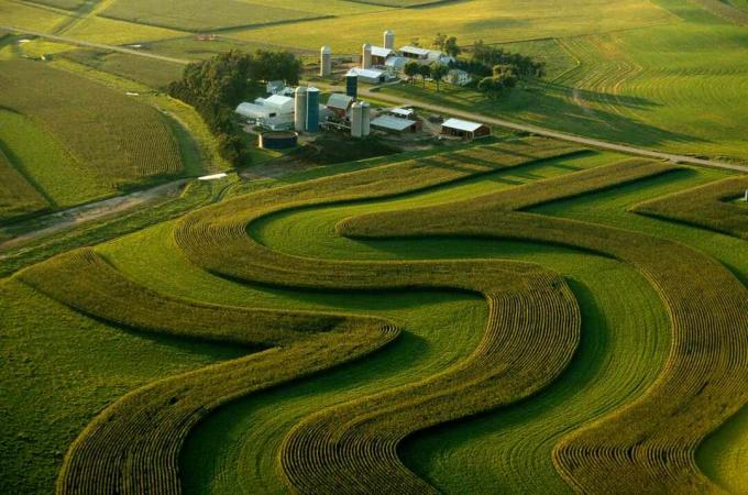 L'agriculture de contour, Minnesota, USA, vue aérienne