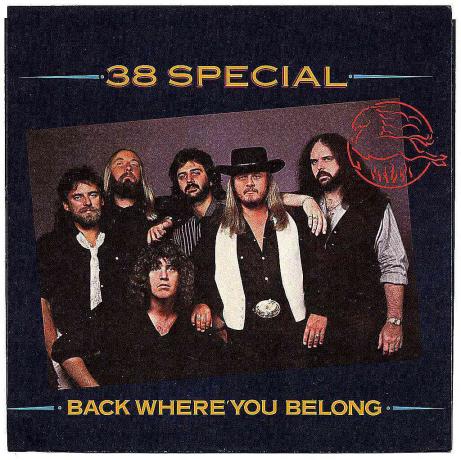 80년대의 대부분을 위해 .38 Special은 " Back Where You Belong" 과 같은 뛰어난 주류 록 트랙을 최소 2-3개 포함하는 견고한 앨범을 제작했습니다.