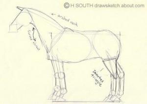 Kā vienkāršās darbībās uzzīmēt zirgu