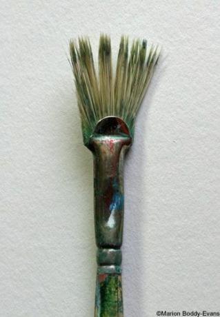 Foto van een waaierborstel met afgeknipte haren