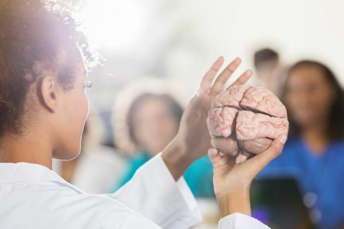 Profesor sekolah kedokteran wanita dengan model otak manusia