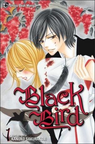 A Black Bird Volume 1 borítója Kanako Sakurakoujitól