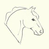 Kako nacrtati konjsku glavu