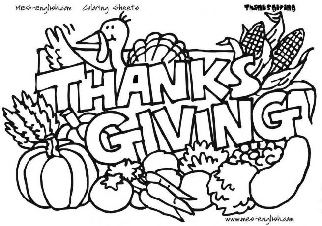 Un pavo y verduras con la frase " Acción de Gracias".