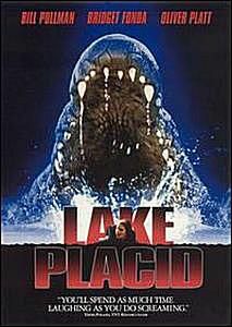 Płyta DVD z jeziorem Placid