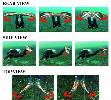 صورة لضفدع غطاس يركل تحت الماء