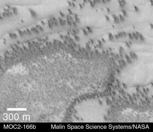 Bewijs voor vegetatief leven op Mars?
