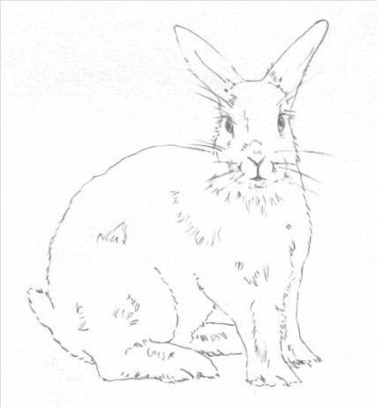 рисуем кролика - добавляем мех и усы
