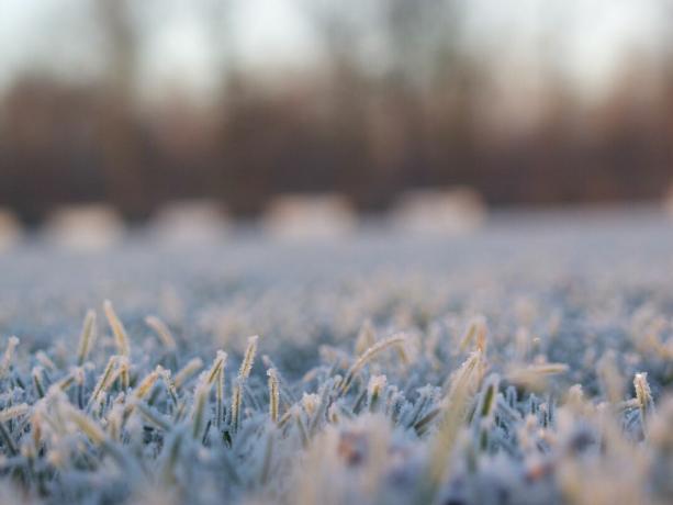 frost på en fotbollsplan