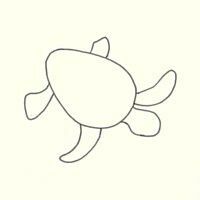 Deniz Kaplumbağası Nasıl Çizilir: Adım Adım Talimatlar