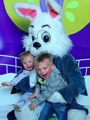 assustador-bunny3.jpg