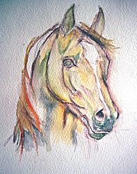 Akvarelli hevosmaalausta